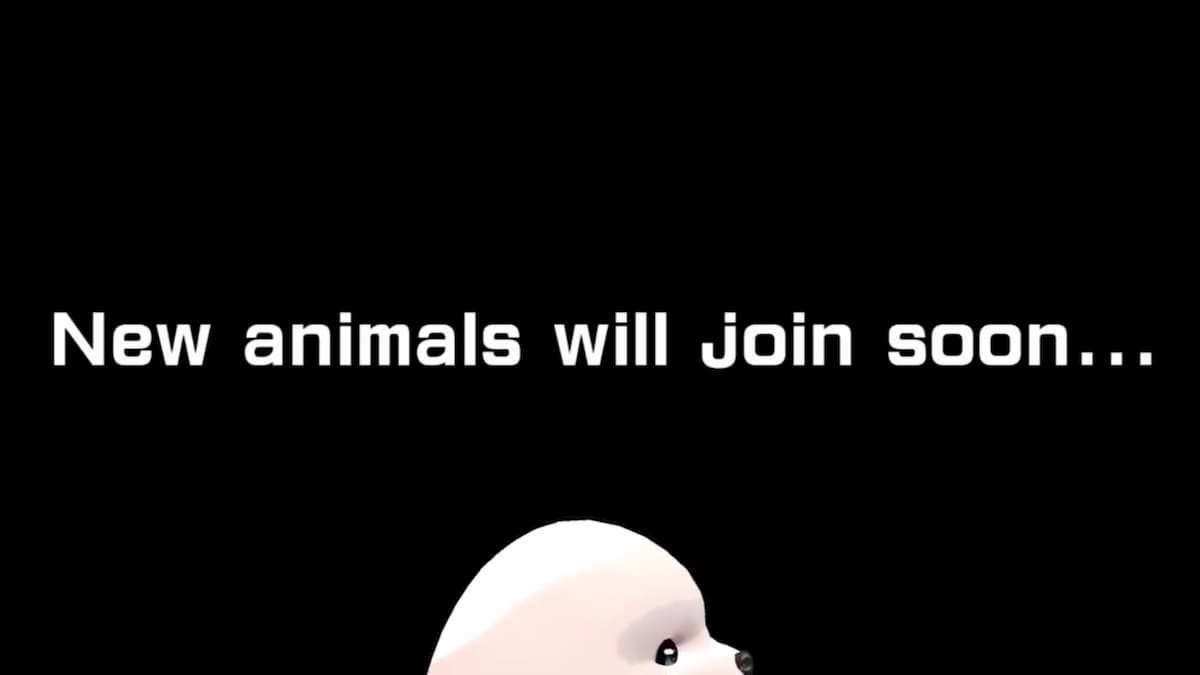 New animals will join soon...